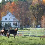 Stajnia Lipnik Agroturystyka *