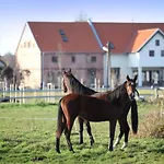 Stajnia Lipnik Séjour à la ferme Kadyny