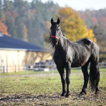 Stajnia Lipnik Farm stay Kadyny