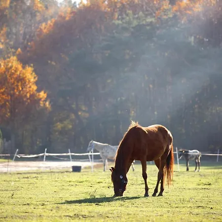 Stajnia Lipnik 农家乐