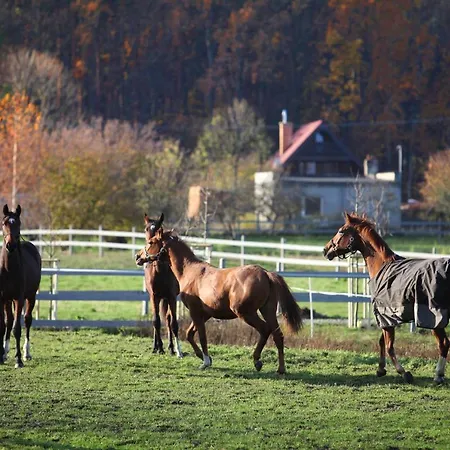 Stajnia Lipnik 农家乐