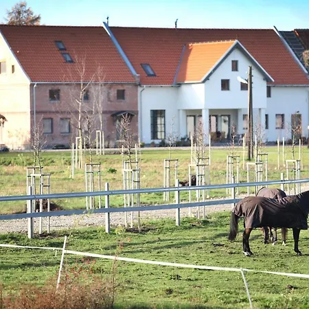 Stajnia Lipnik Farm stay
