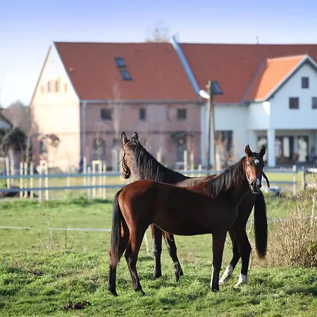 Stajnia Lipnik 农家乐 卡迪尼