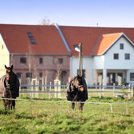 Farm stay Stajnia Lipnik