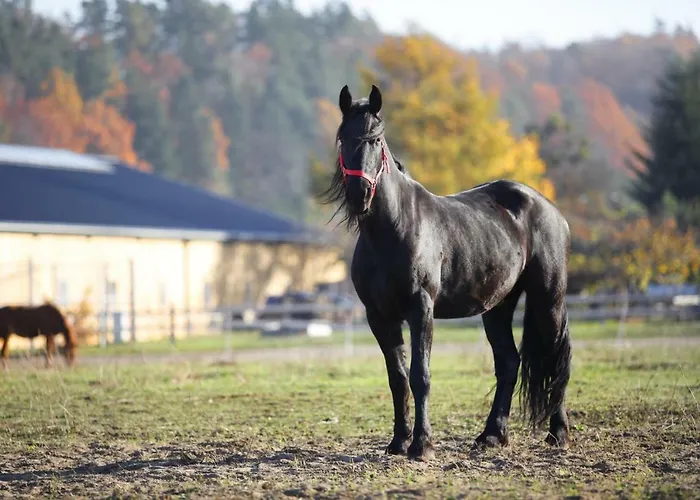 Stajnia Lipnik Agroturystyka Фермерский дом Кадыны