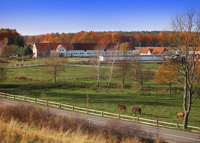 Farm stay Stajnia Lipnik Kadyny