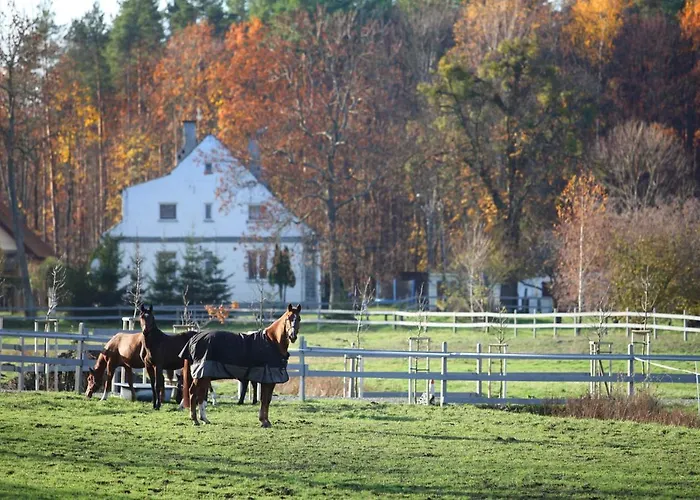 Stajnia Lipnik Agroturystyka *