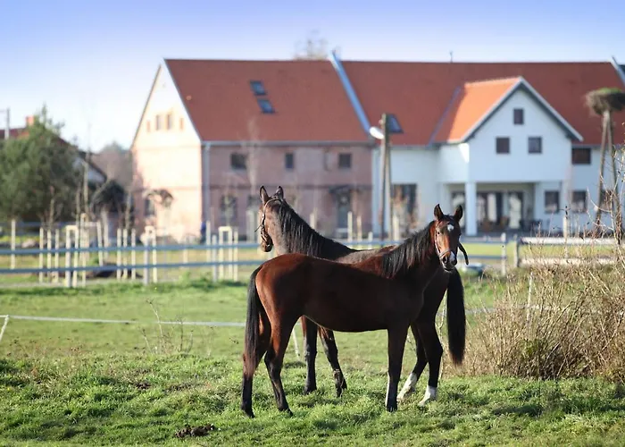 Stajnia Lipnik Farm stay Kadyny