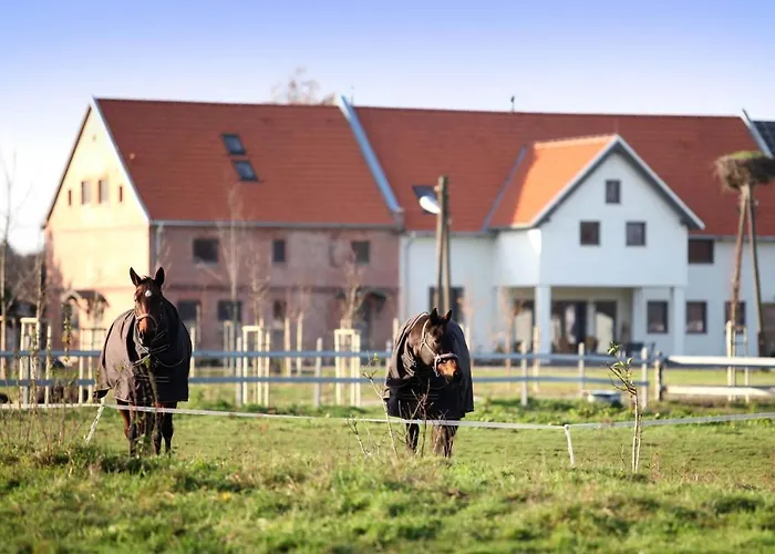 Farm stay Stajnia Lipnik
